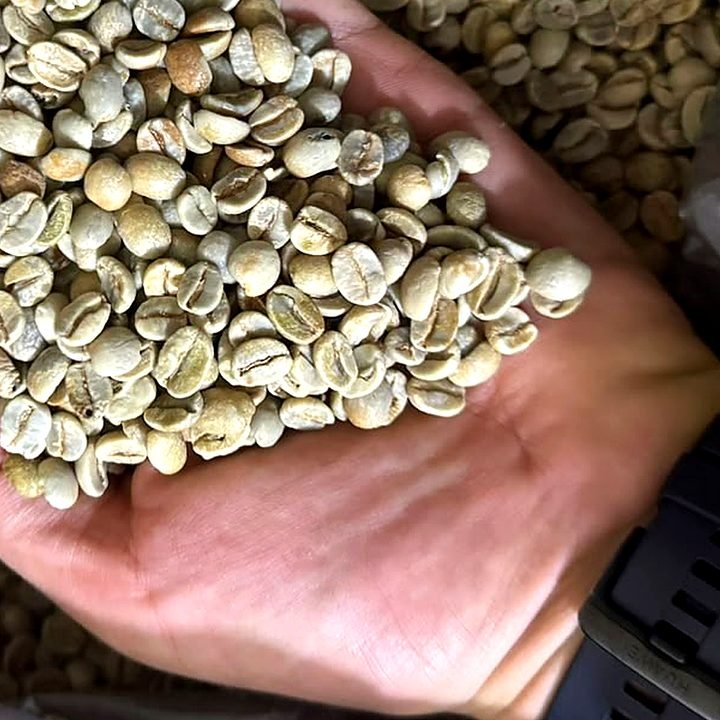 Ethiopian Harrar