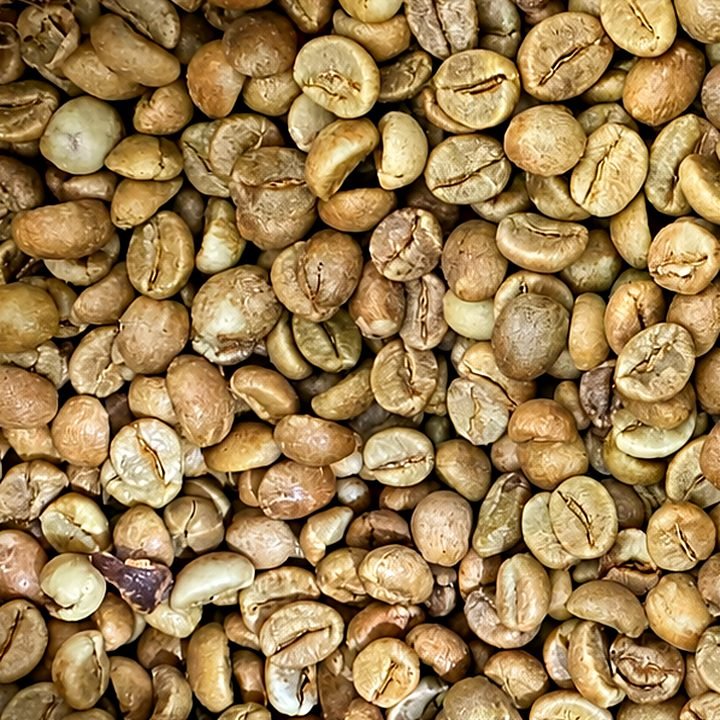Venezuelan Arabica