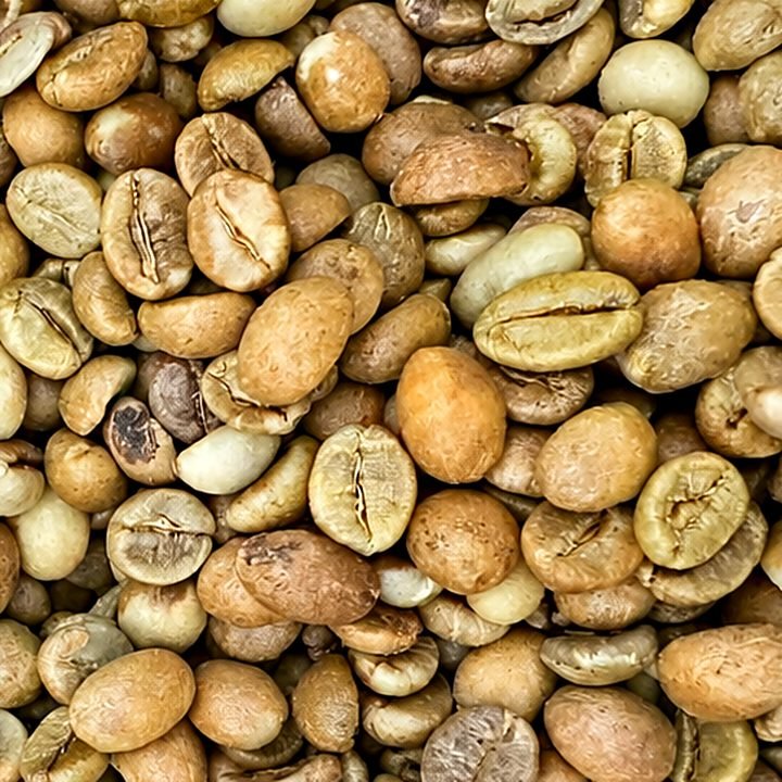 Ethiopian Sidamo