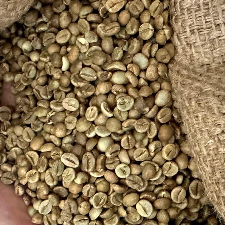 Vietnamese Clean