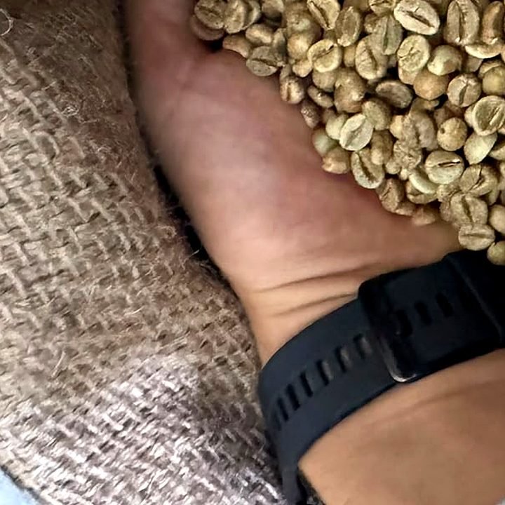 Ethiopian Lekempti